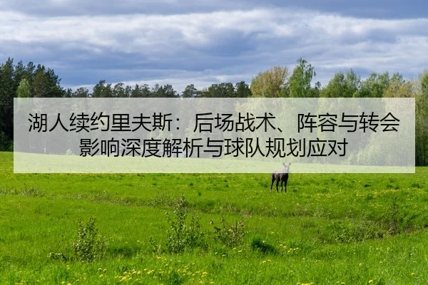 hu-ren-xu-yue-li-fu-si-hou-chang-zhan-shu-zhen-rong-yu-zhuan-hui-ying-xiang-shen-du-jie-xi-yu-qiu-dui-gui-hua-ying-dui-2-409.jpg